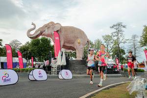 BIB: 
                            <button type="button" onclick="openModal(26528440)" class="btn btn-primary btn-sm float-right btn-popup" data-toggle="modal" data-target=".modal-high-quality">
                        <i class="fas fa-shopping-cart"></i> Add to Cart
                    </button>
                                            <button type="button" onclick="isThisMe(26528440, true)" class="btn btn-success btn-sm float-right btn-popup btn-isme hidden" data-toggle="tooltip" data-placement="bottom" title="นี่คือรูปของคุณใช่ไหม คลิกที่นี่เพื่อเอาเข้าอัลบั้ม">
                        <i class="fas fa-plus"></i> Add to album
                    </button>
                    <button type="button" onclick="isThisMe(26528440, false)" class="btn btn-warning btn-sm float-right btn-popup btn-isnotme hidden">
                        <i class="fas fa-ban"></i> Remove from album
                    </button>